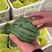 早春红玉西瓜，大量上市，口感好，皮薄汁多，欢迎新选购。