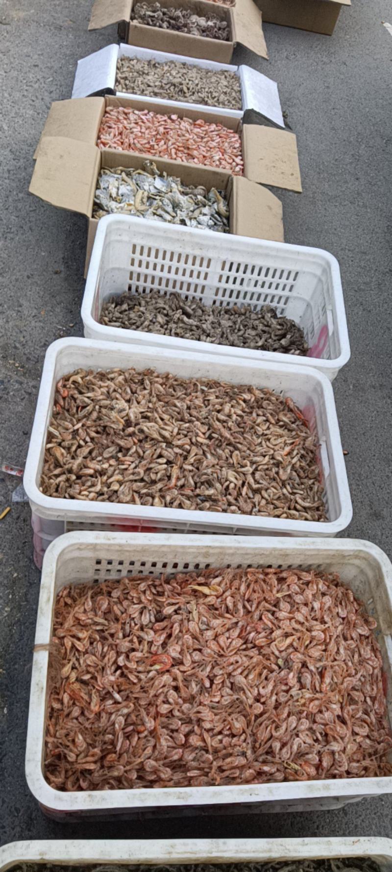 草虾，也叫婆婆虾