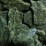 我想卖菜枯