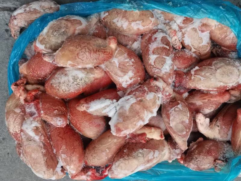 牛外腰牛宝牛蛋牛睾丸牛三宝货源充足对接各级客户