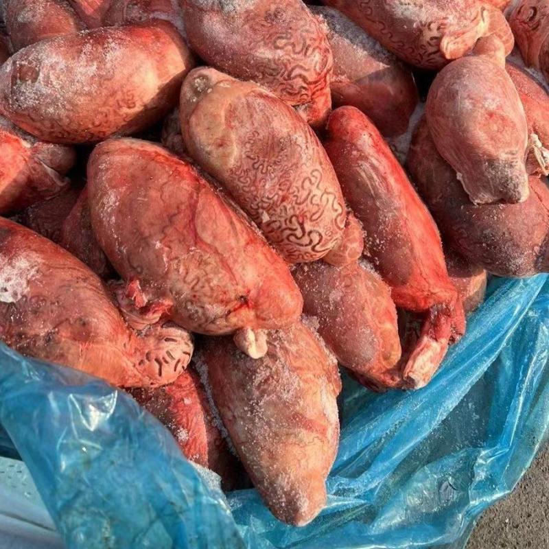 牛外腰 牛宝 牛蛋 牛睾丸 牛三宝 货源充足对接各级客户