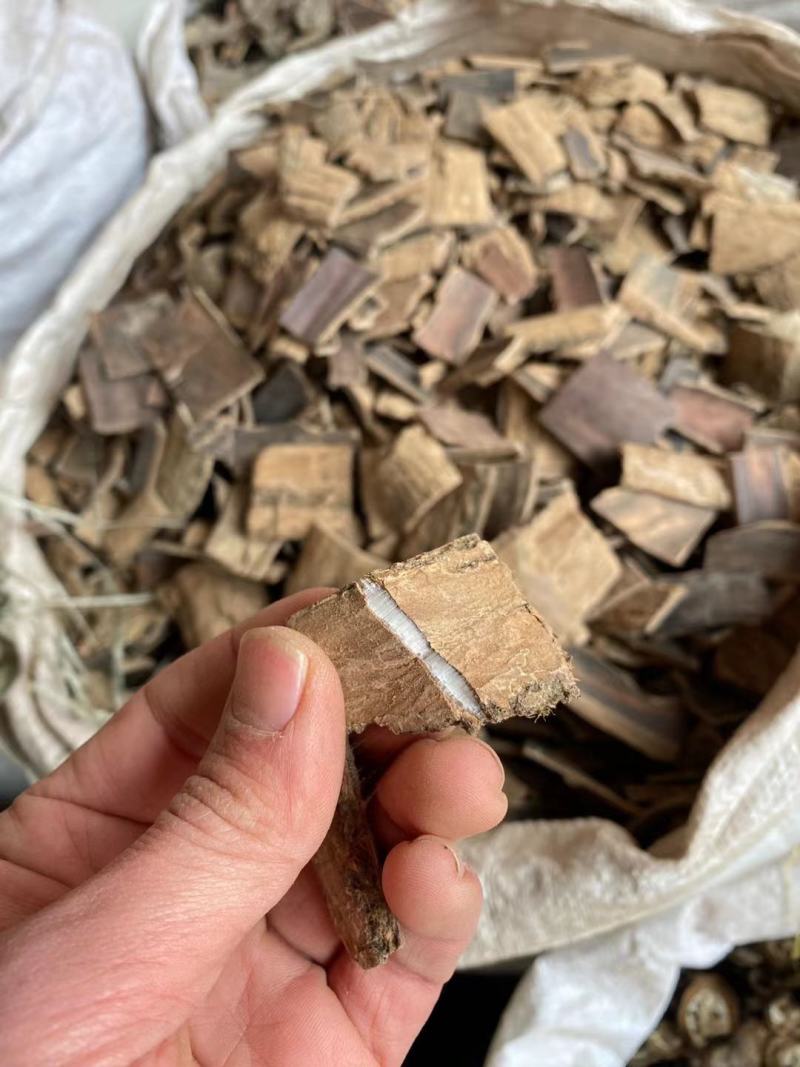 杜仲野生中药材厚皮特级杜仲皮泡茶巴戟牛大力肚仲肚种杜肿