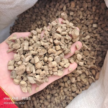 川牛膝中药材四川野生牛膝牛夕牛七牛腾特级牛膝红牛膝