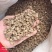 川牛膝中药材四川野生牛膝牛夕牛七牛腾特级牛膝红牛膝