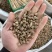 川牛膝中药材四川野生牛膝牛夕牛七牛腾特级牛膝红牛膝