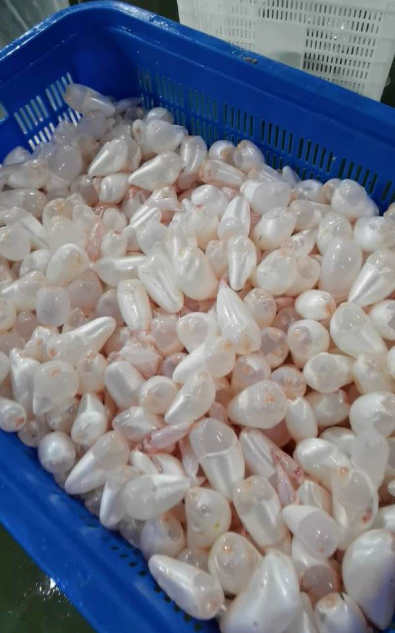 白鲢鱼泡一斤装（去黑膜，去油脂，去苦泡）