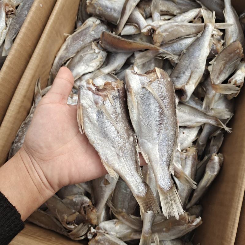 黄花鱼干山东鱼干去头带盐分现货直发品质保证