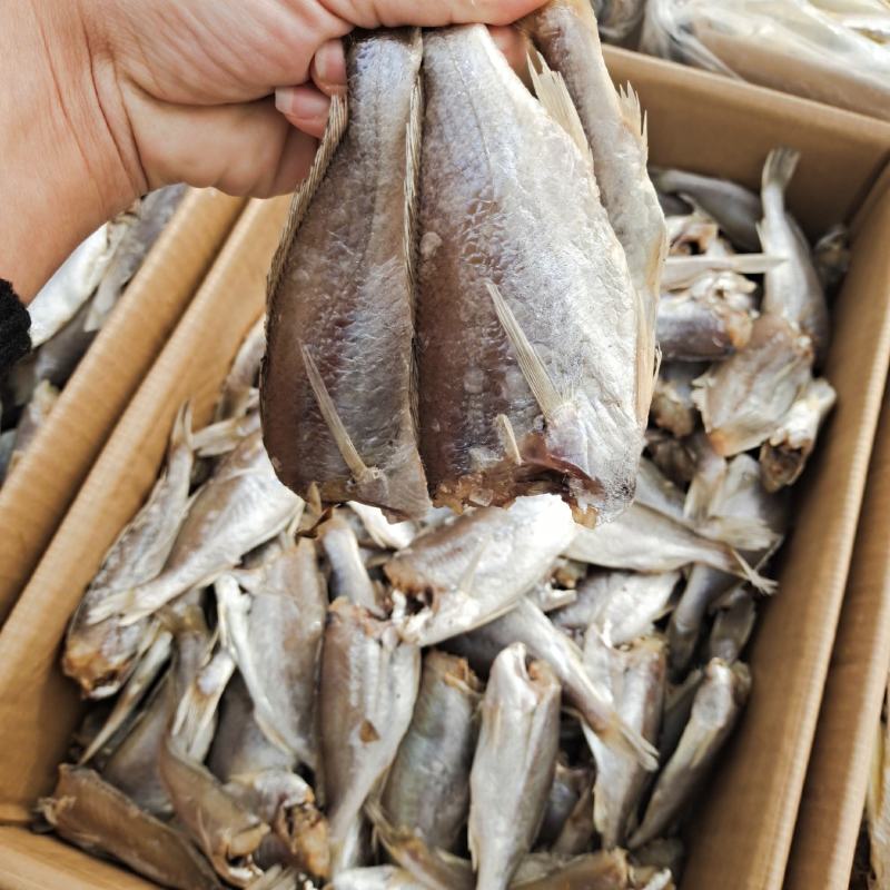 黄花鱼干山东鱼干去头带盐分现货直发品质保证