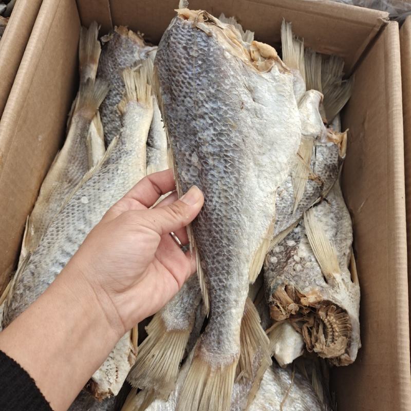 黄花鱼干山东鱼干去头带盐分现货直发品质保证