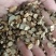 野生桂枝500g克新货香料中药材细桂枝桂枝尖嫩条泡茶可搭