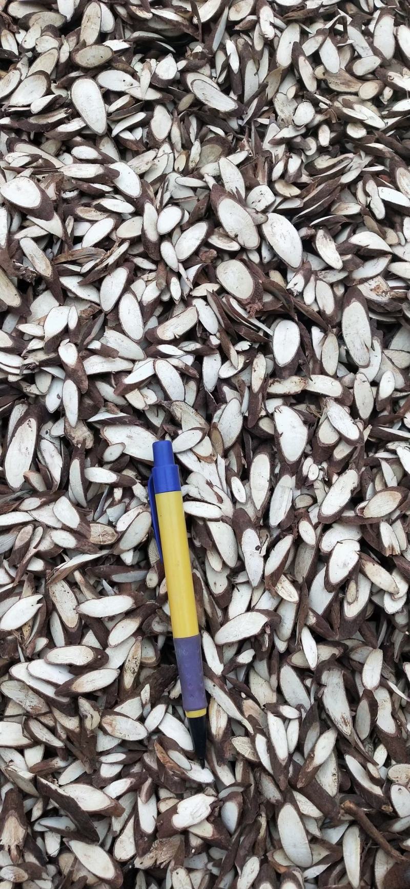 山间谷草千斤拔500g千斤拔一条根千金拔新货
