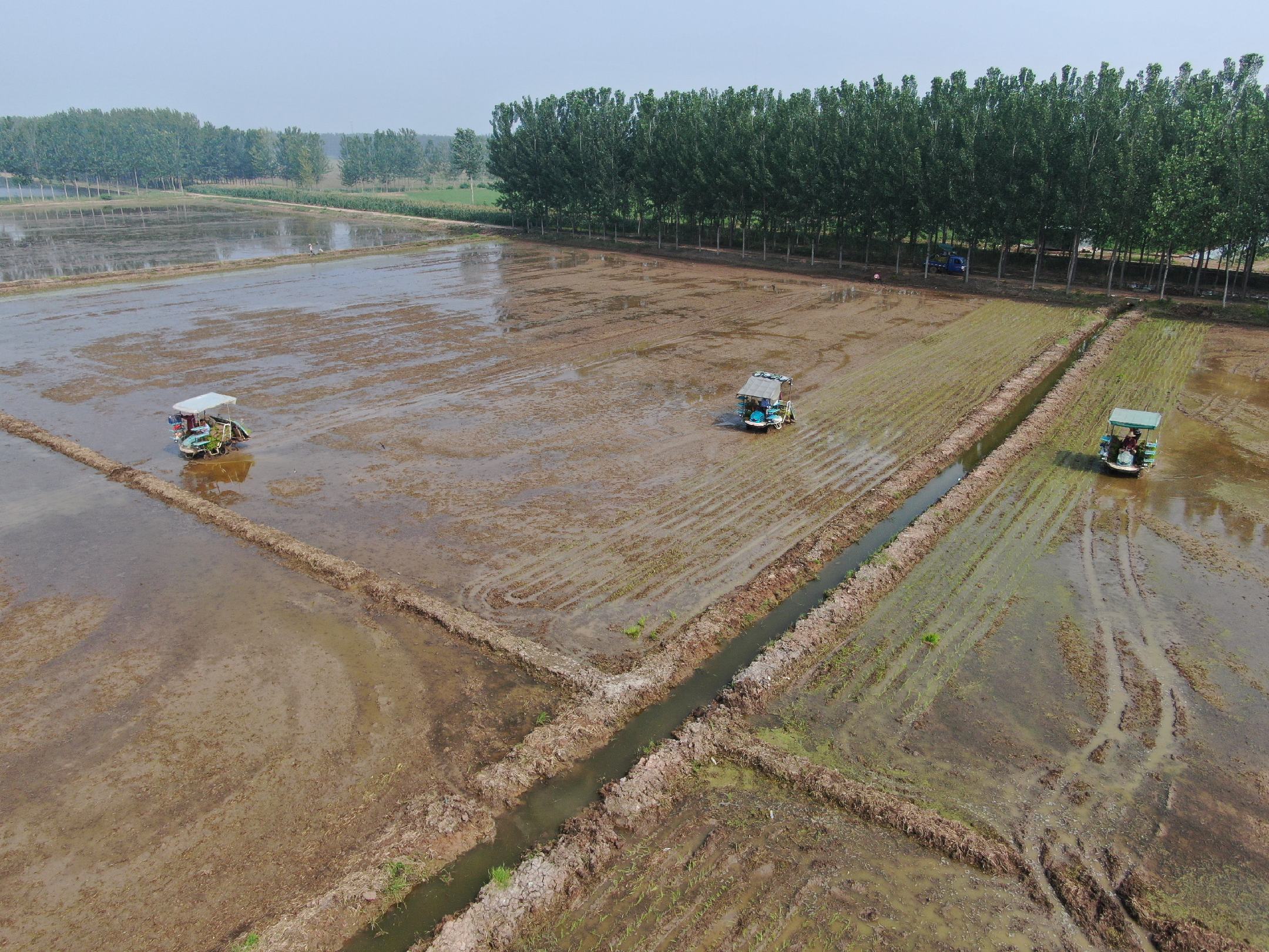 玉米播种机外观图