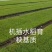 育苗基质水稻育秧基质草莓西瓜育苗基质蔬菜育苗基质