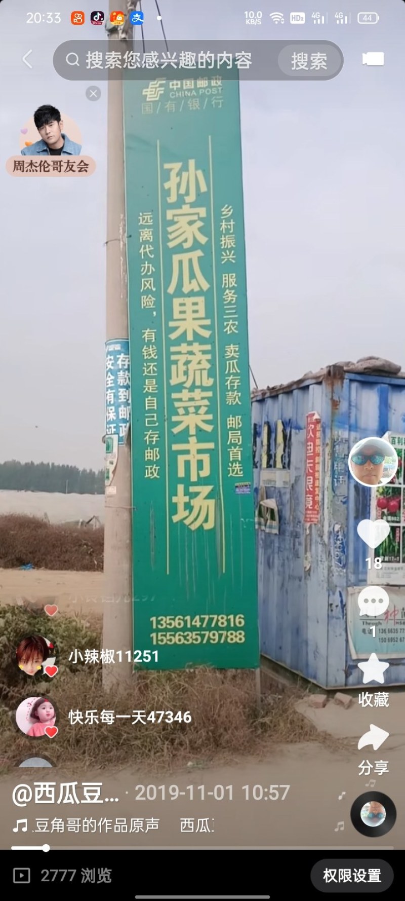 精品【豆角】无公害长豆角品质保证大量供应中