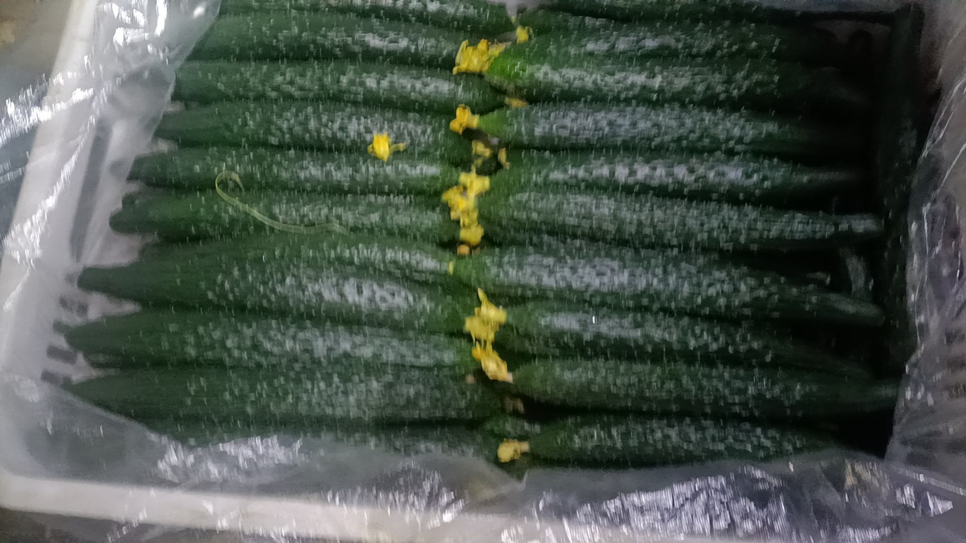 黄瓜沙拉制作过程