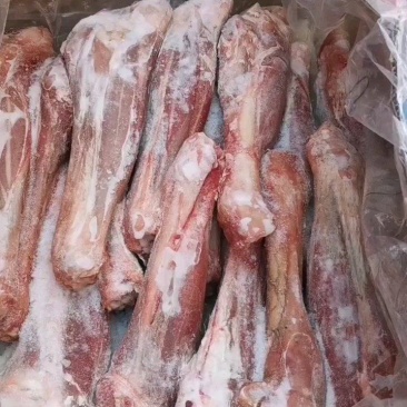 河南郑州厂家直发一手货源批发品质保证羔羊前棒