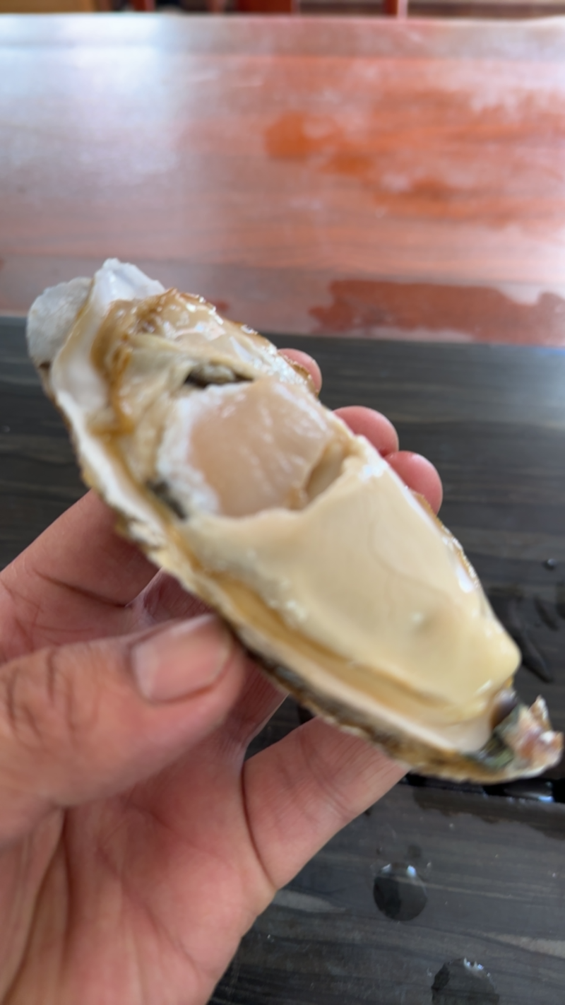 乳山牡蛎自产自销原产地现货鲜活全国发货欢迎采购