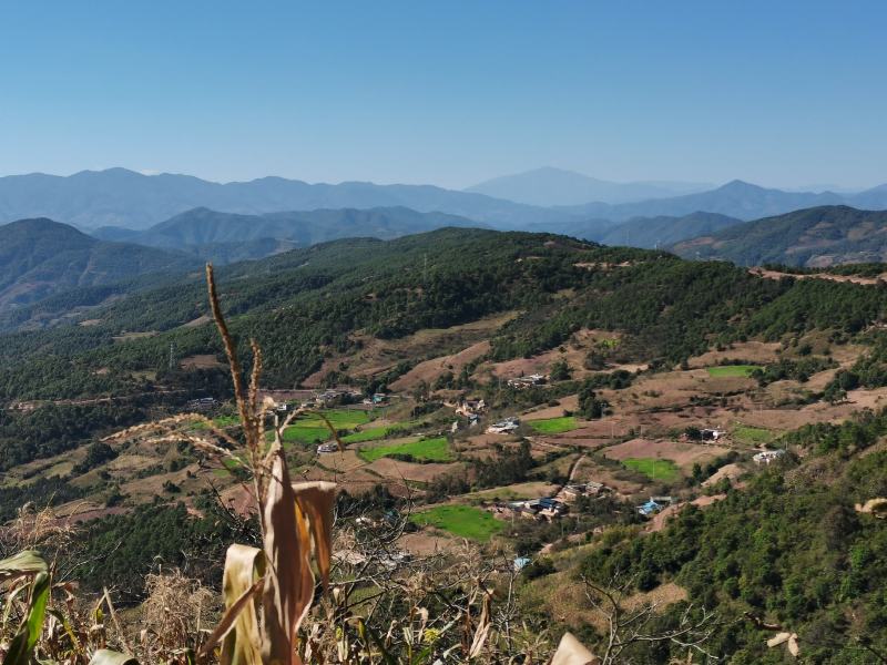 土地转让