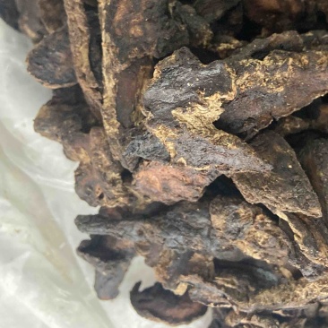 中药材生地黄河南焦作正宗生地黄生地熟地生地片