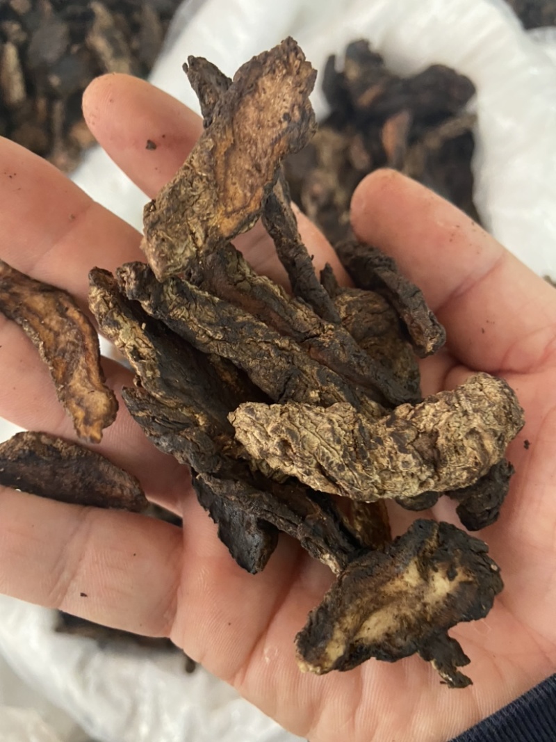 中药材生地黄河南焦作正宗生地黄生地熟地生地片