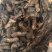 中药材生地黄河南焦作正宗生地黄生地熟地生地片