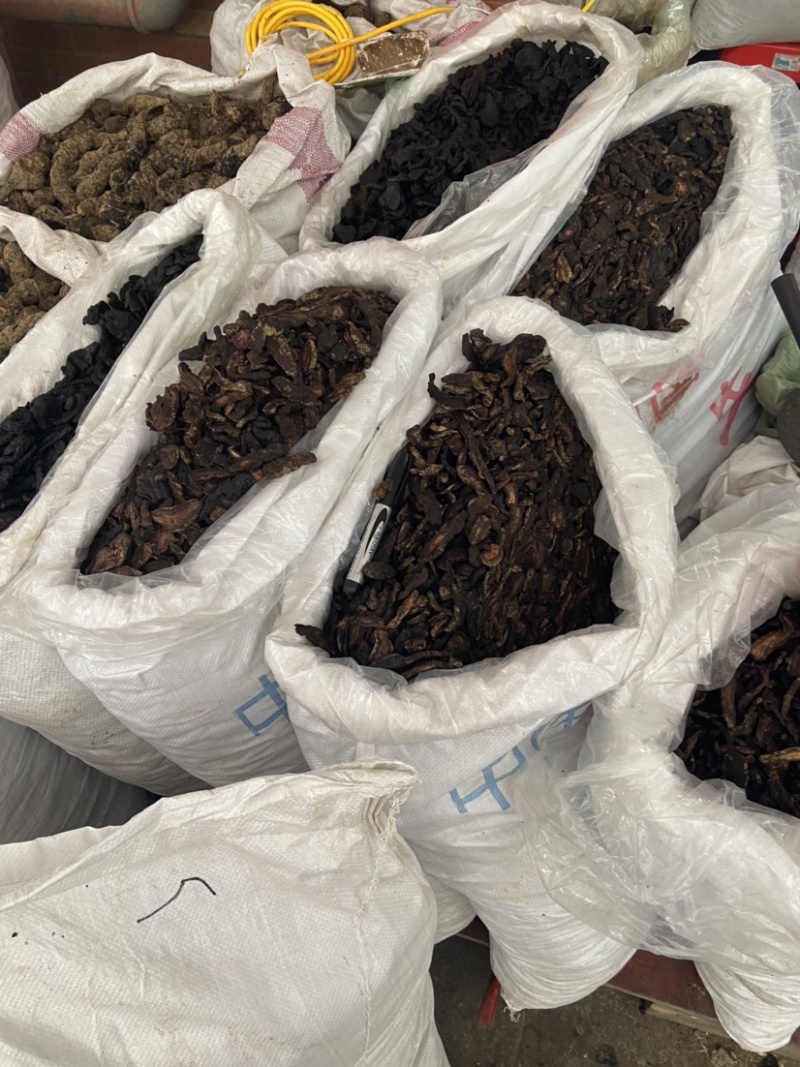 中药材生地黄河南焦作正宗生地黄生地熟地生地片