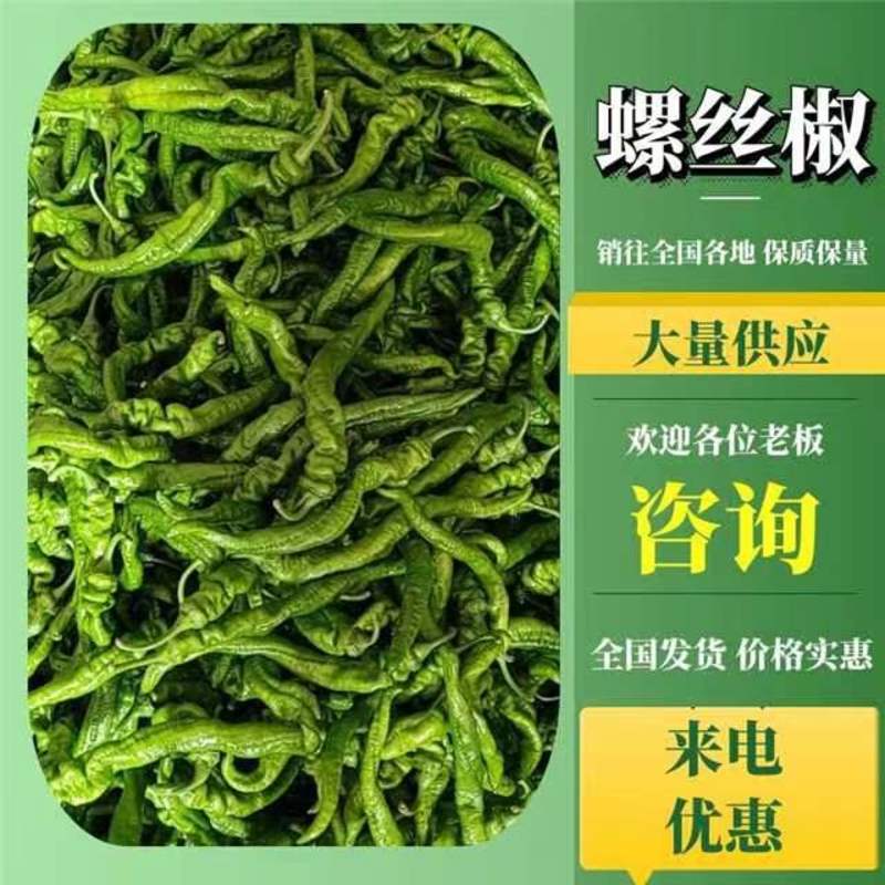 河北省唐山市滦南县姚王庄精品螺丝椒，大量上市