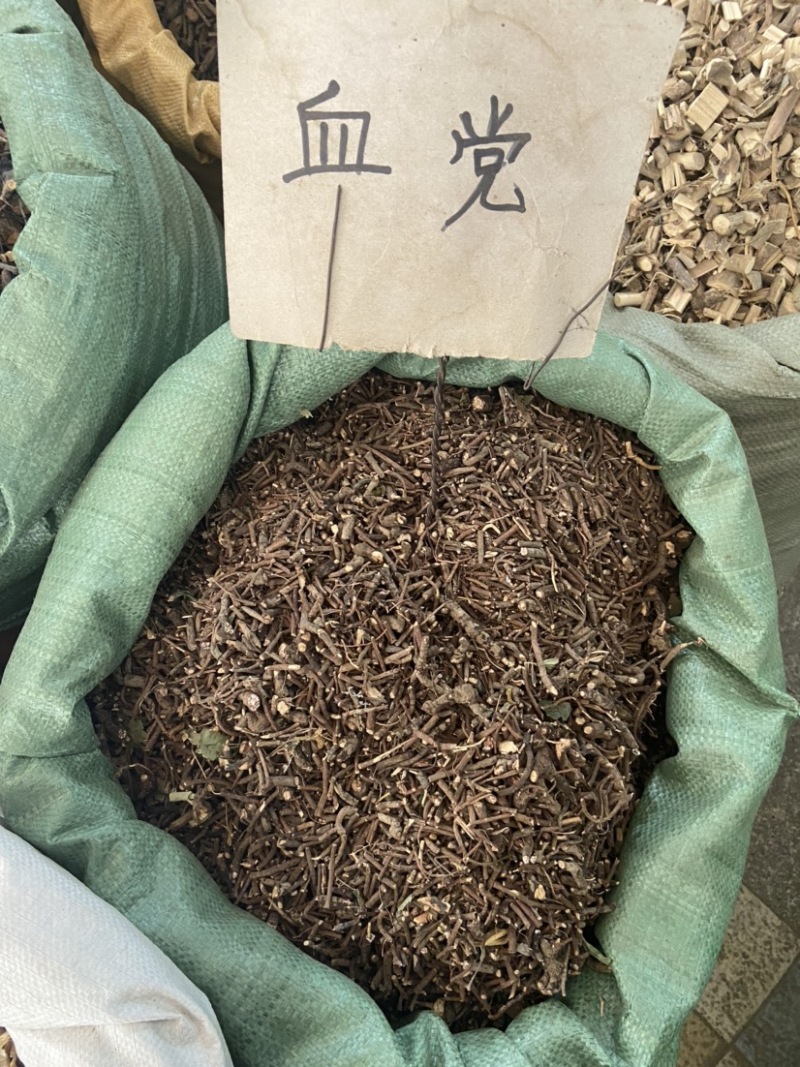 中药材血党珍珠盖凉伞斑叶山血丹小凉伞野生