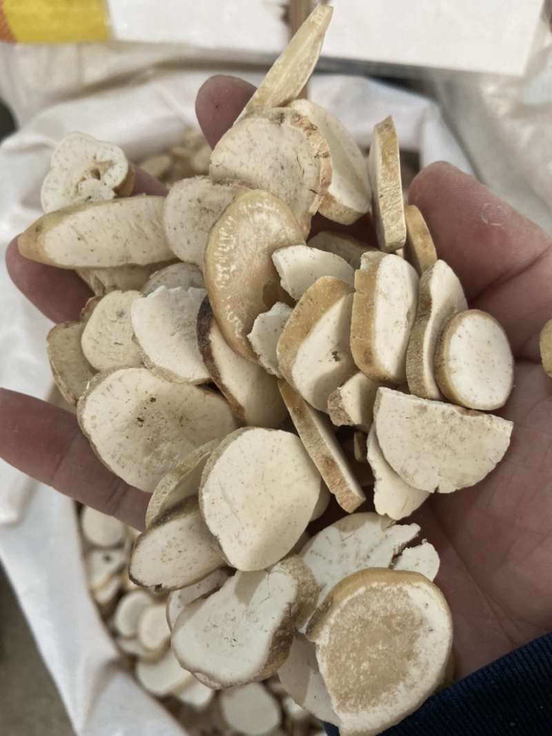 中药材新货野生天花粉栝蒌根花粉瓜蒌跟栝楼根中草药