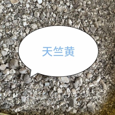 天竺黄