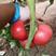 【硬粉西红柿】河北西红柿果形好颜色亮耐运输品质保证