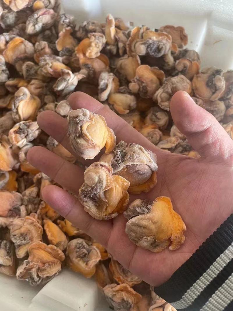 赤贝肉，规格全，常年有货，价格优惠，欢迎客户咨询，