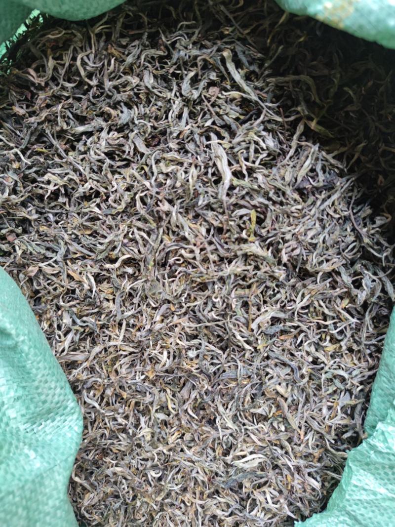 云南普洱绿茶
