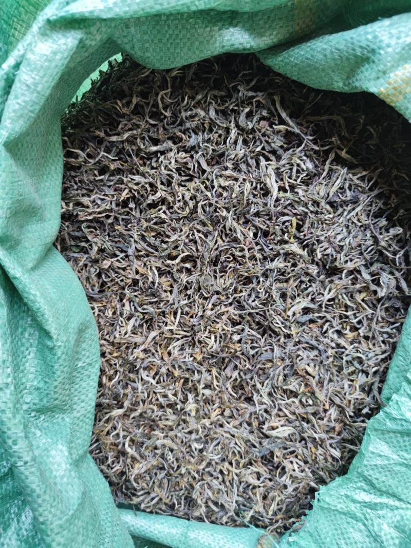云南普洱绿茶