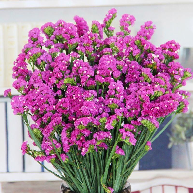 勿忘我鲜花半干花花束客厅办公室插花摆件花束批发花束发鲜花