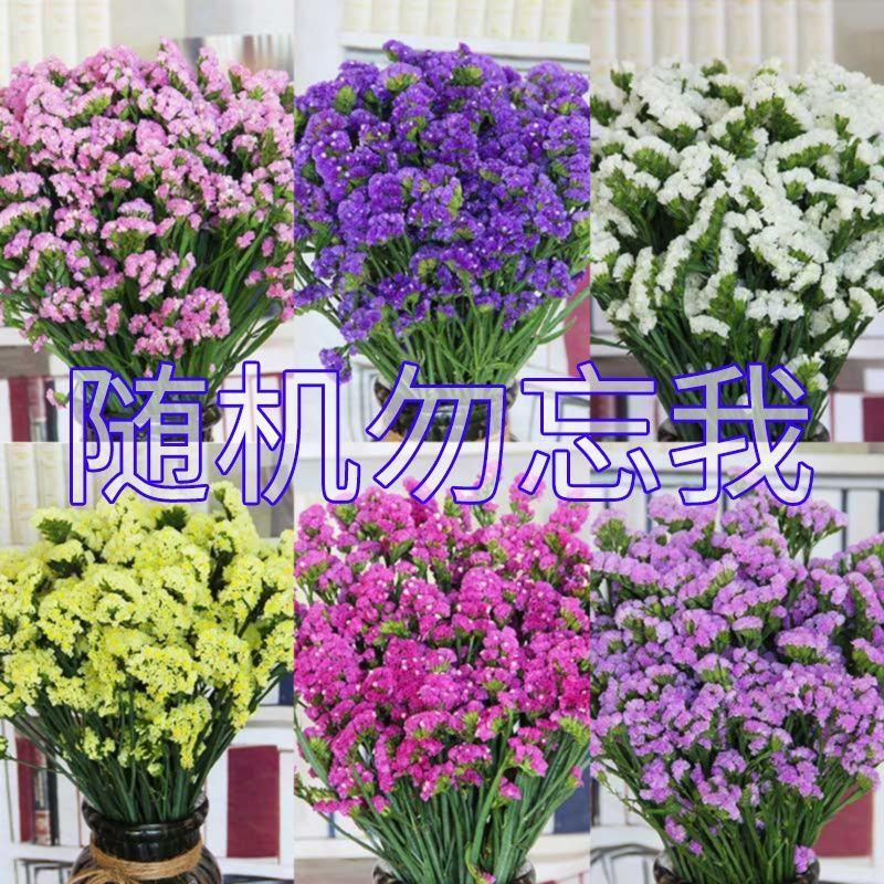 勿忘我鲜花半干花花束客厅办公室插花摆件花束批发花束发鲜花