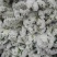 勿忘我鲜花半干花花束客厅办公室插花摆件花束批发花束发鲜花