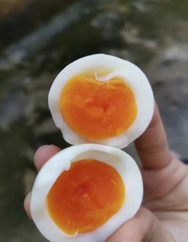 云南高山正宗土鸡蛋，定货看过来！每天供货600箱！