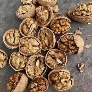 优质纸皮核桃