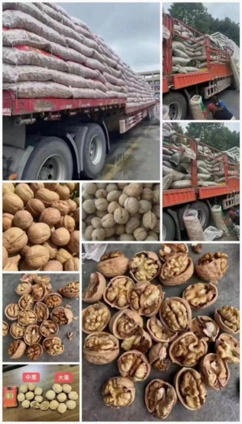 优质纸皮核桃