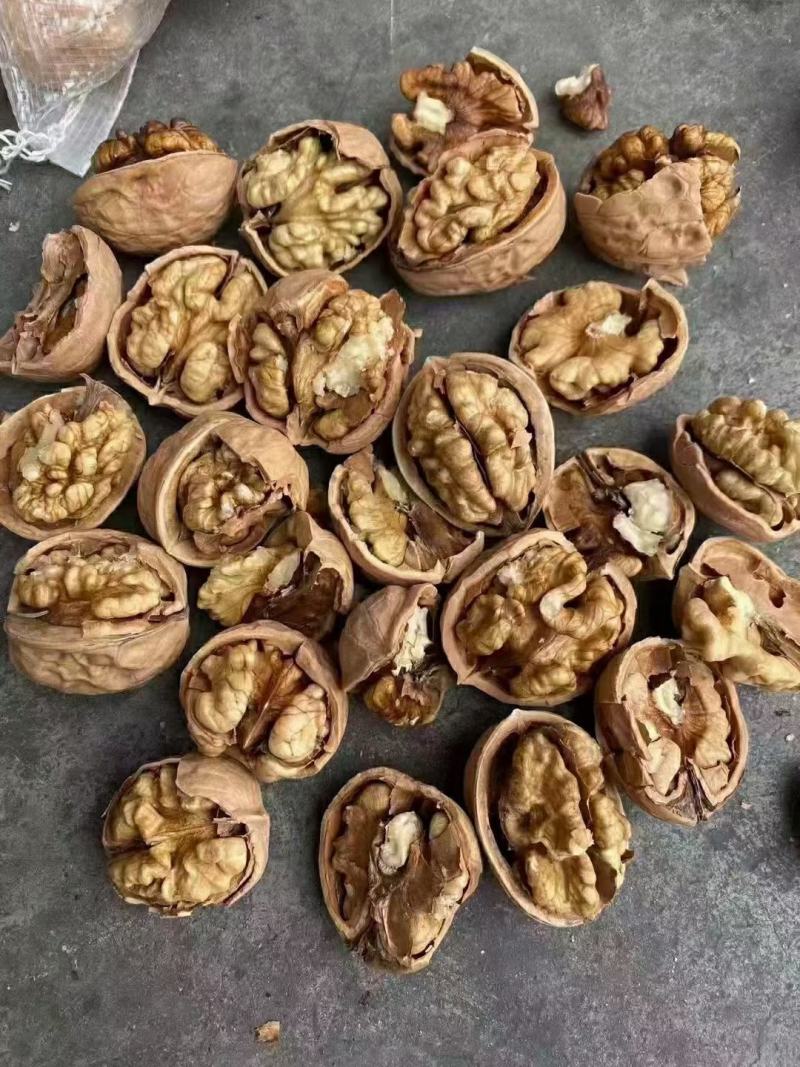 优质纸皮核桃