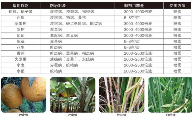 沪联胶瓶世达苯醚甲环唑炭疽病白粉病黑星病果蔬花杀菌剂农药
