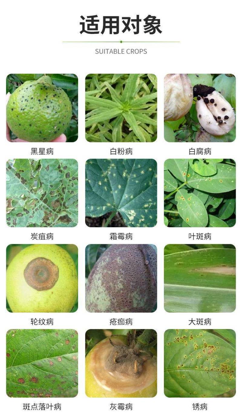 沪联胶瓶世达苯醚甲环唑炭疽病白粉病黑星病果蔬花杀菌剂农药