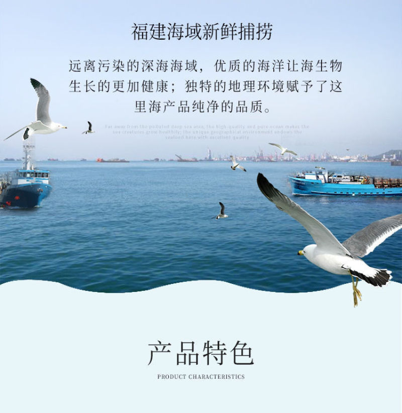 石斑鱼（龙胆石斑鱼）