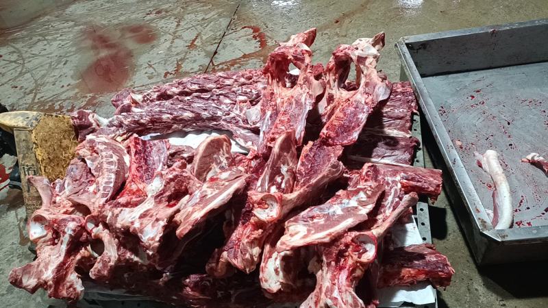 蝎子。驴蝎子，驴骨头，脖骨骨头，肉多驴骨头