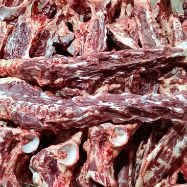 蝎子。驴蝎子，驴骨头，脖骨骨头，肉多驴骨头