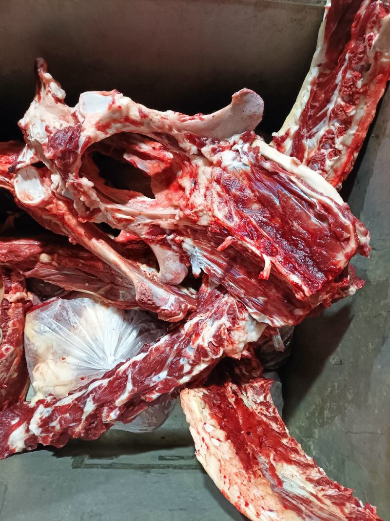 蝎子。驴蝎子，驴骨头，脖骨骨头，肉多驴骨头