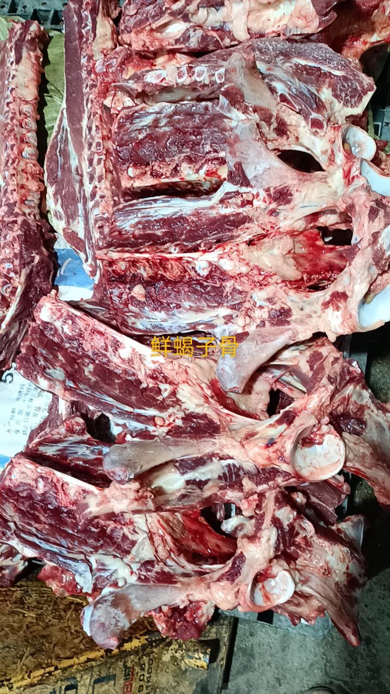 蝎子。驴蝎子，驴骨头，脖骨骨头，肉多驴骨头