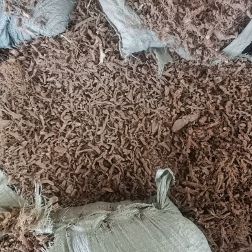 黄姜，火头根欢迎老板