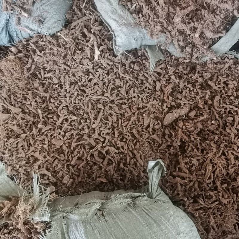 黄姜，火头根欢迎老板